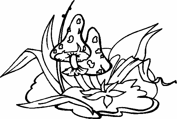 Mushrooms coloring pages