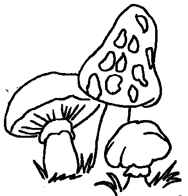 Mushrooms coloring pages