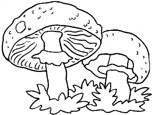 Mushrooms coloring pages