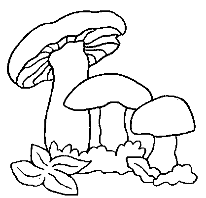 Mushrooms coloring pages