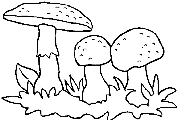 Mushrooms coloring pages