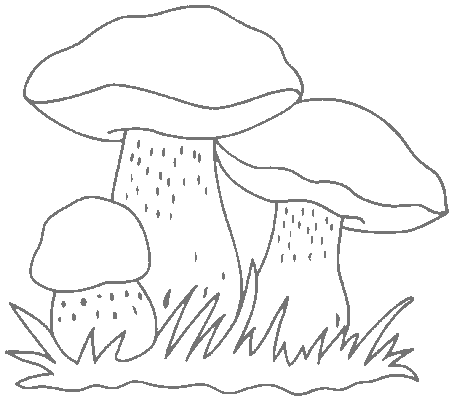 Mushrooms coloring pages