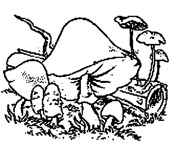 Mushrooms coloring pages