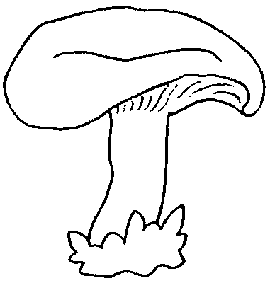 Mushrooms coloring pages