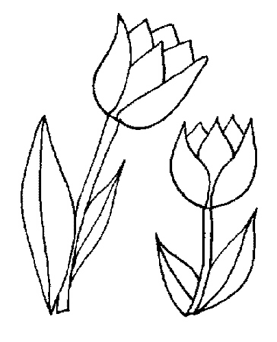 Netherlands coloring pages
