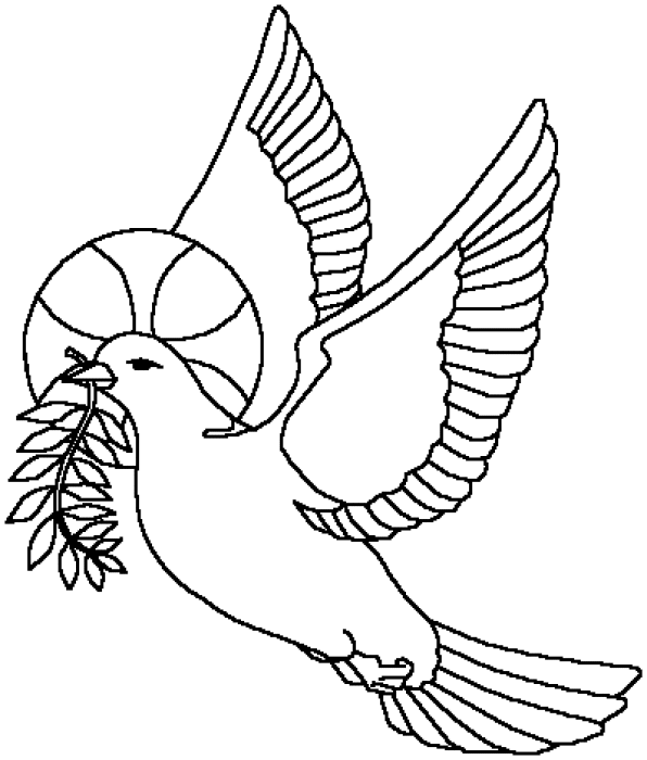 Pigeon coloring pages