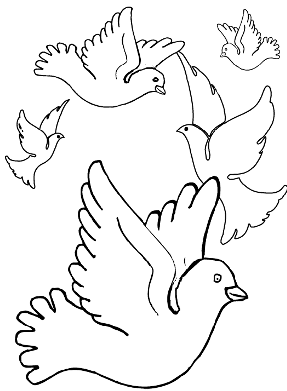 Pigeon coloring pages