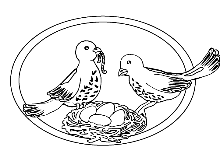 Pigeon coloring pages