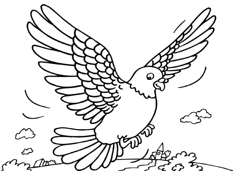 Pigeon coloring pages