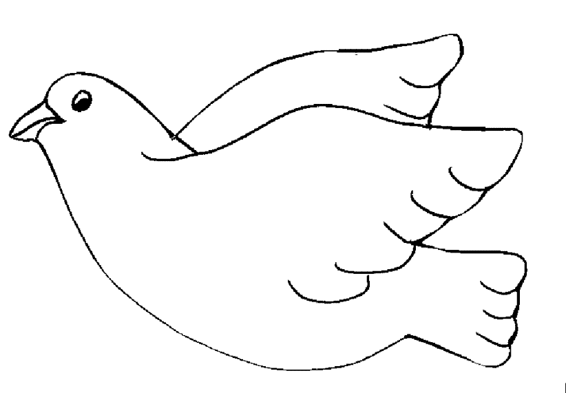 Pigeon coloring pages