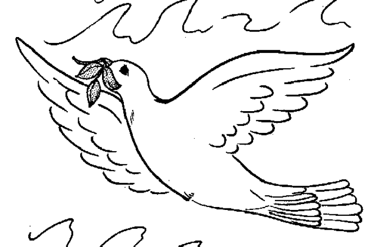 Pigeon coloring pages