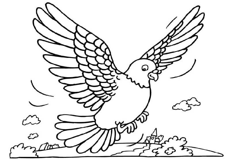 Pigeon coloring pages