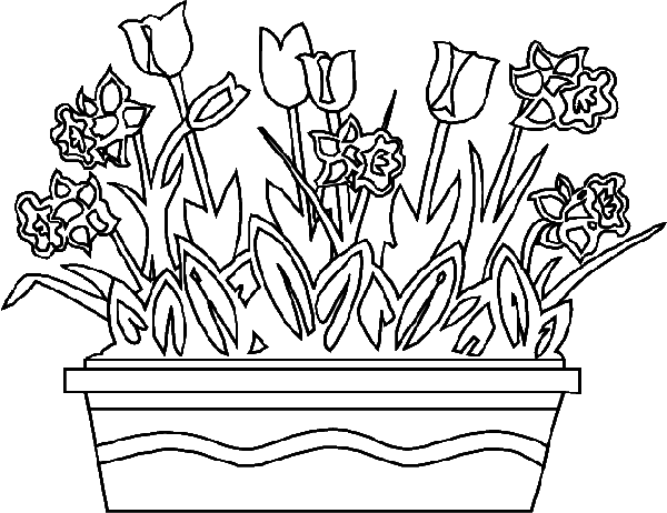 Spring coloring pages