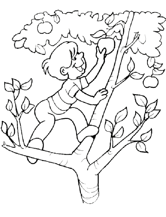 Summer holiday coloring pages