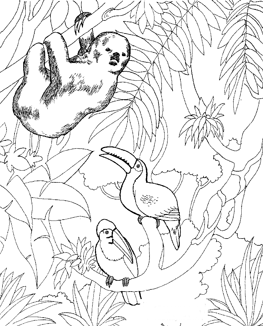 Zoo coloring pages