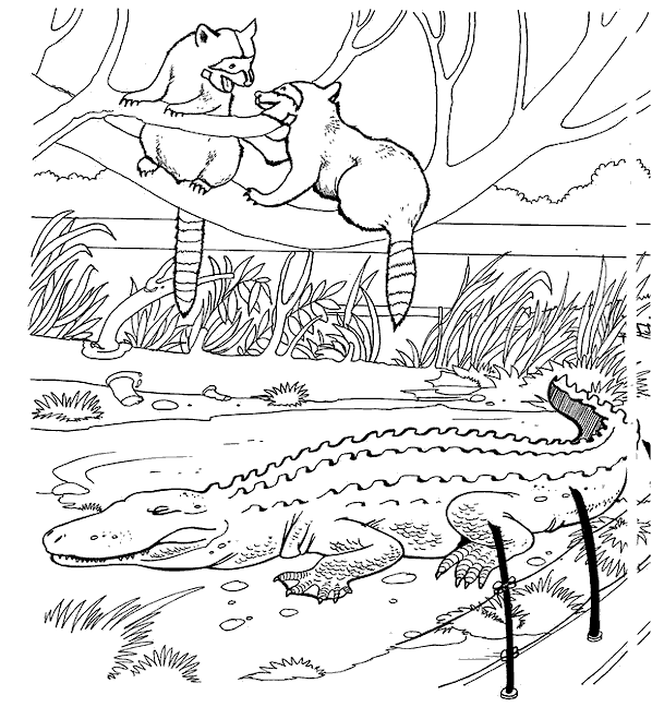 Zoo coloring pages