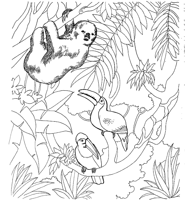 Zoo coloring pages