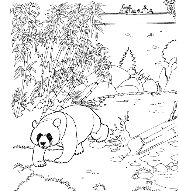 Zoo coloring pages