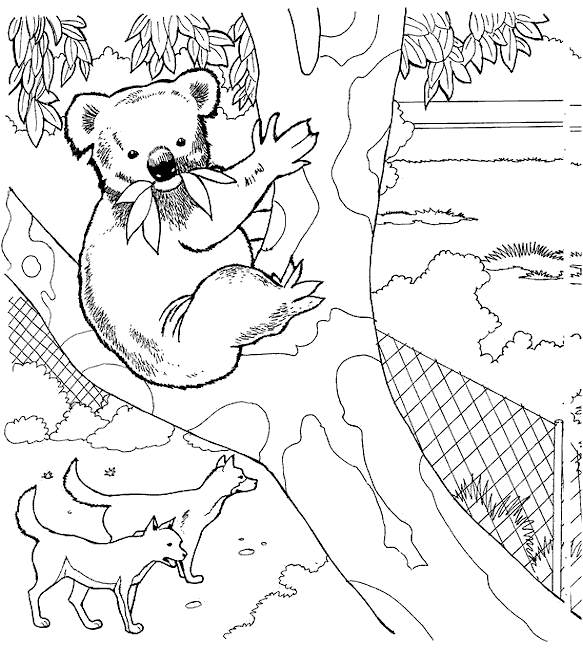 Betere Zoo Coloring Page | PicGifs.com QQ-71