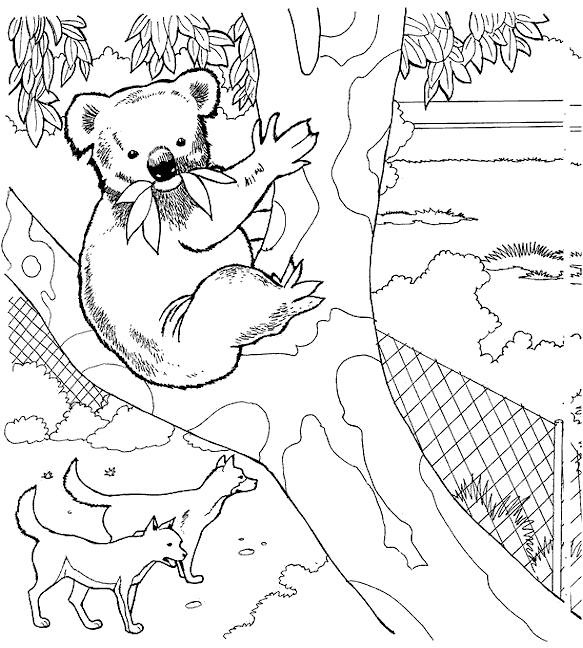 Zoo coloring pages