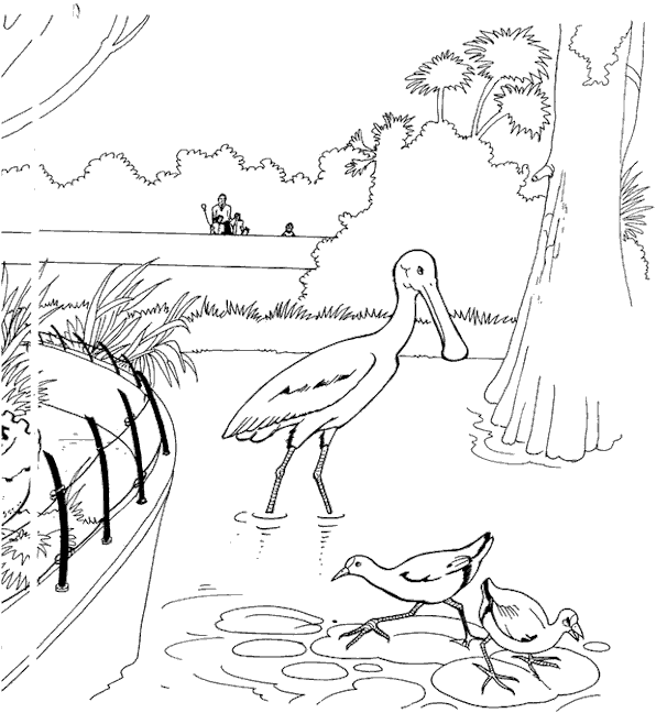 Zoo coloring pages