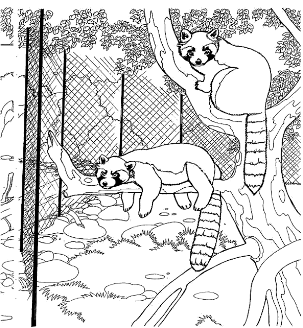 Zoo coloring pages