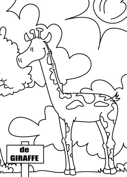 Zoo coloring pages