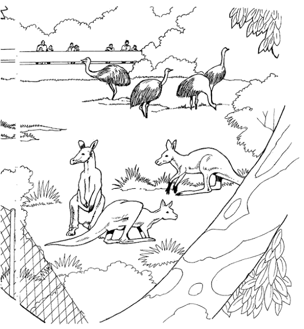 Zoo coloring pages