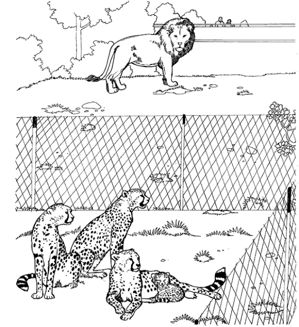 Zoo coloring pages