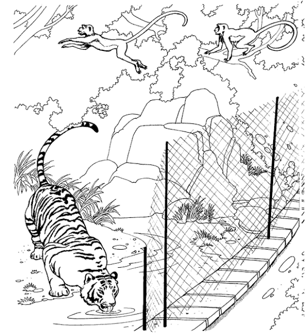 Zoo coloring pages