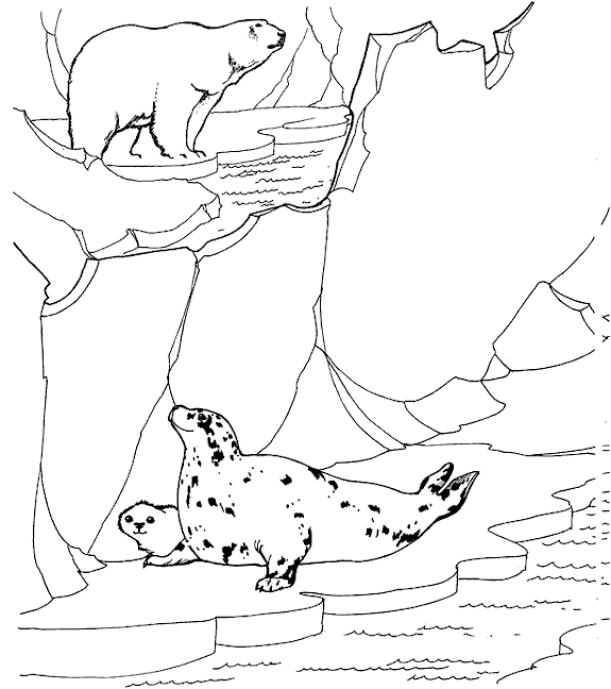 Zoo coloring pages