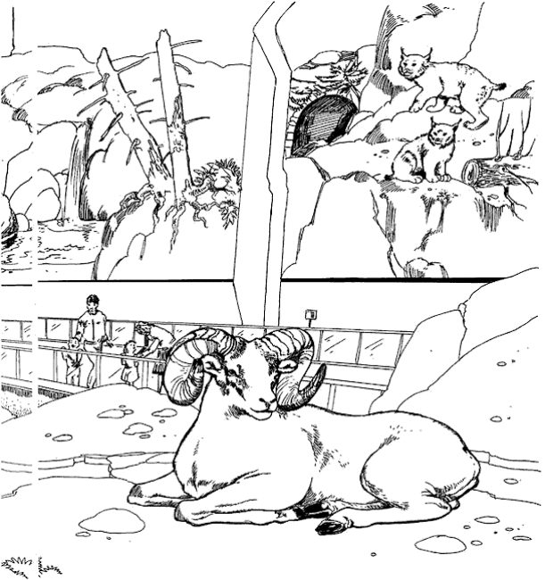 Zoo coloring pages