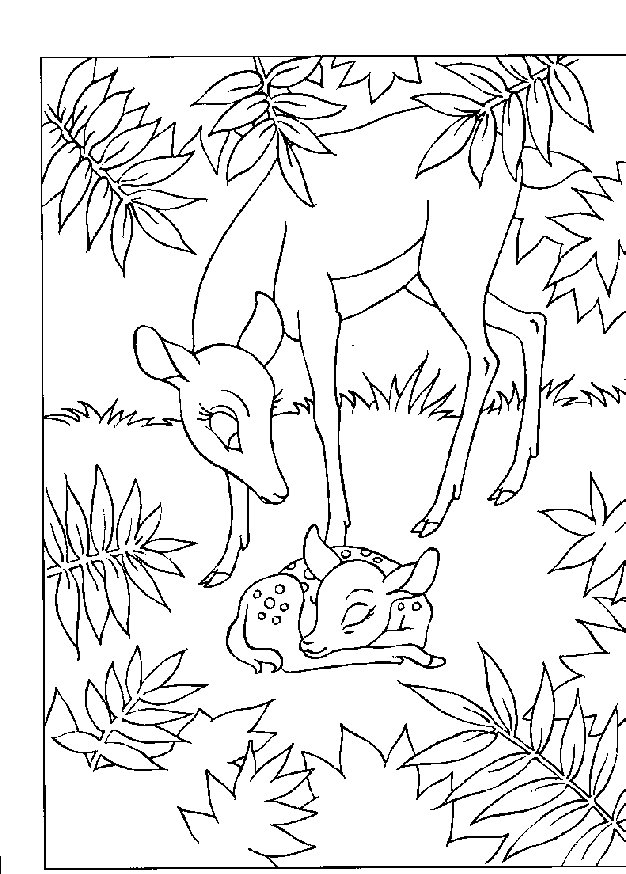 Bambi coloring pages