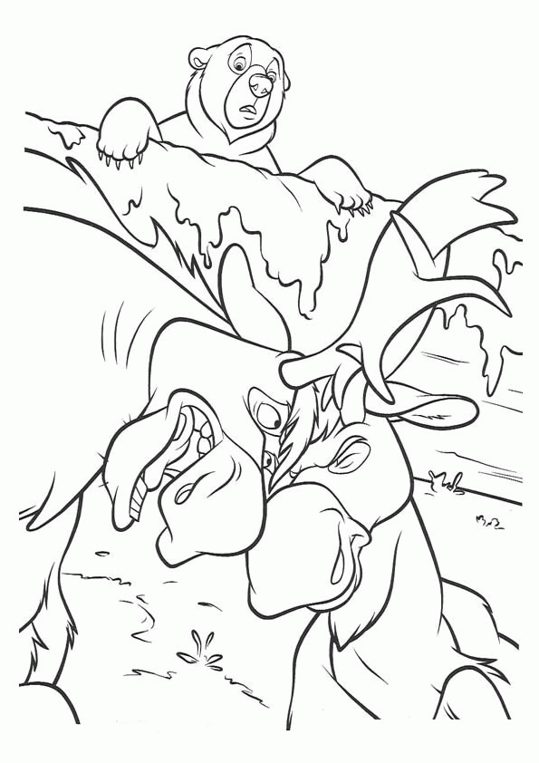 Brother bear coloring pages