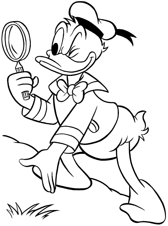 Donald duck