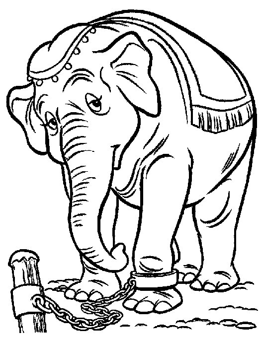 Dumbo coloring pages