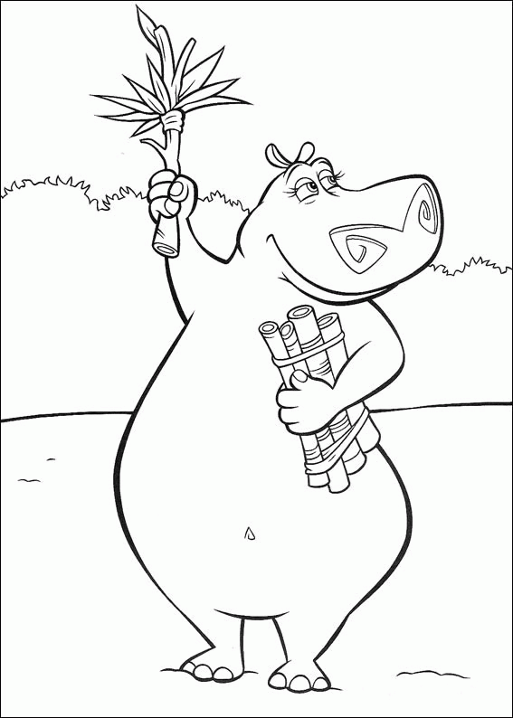 Madagascar coloring pages