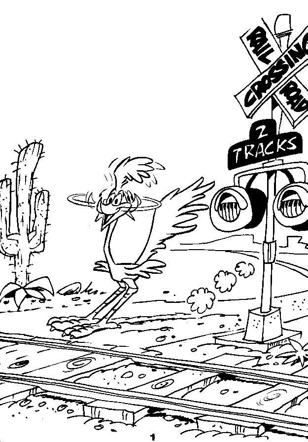 Road runner