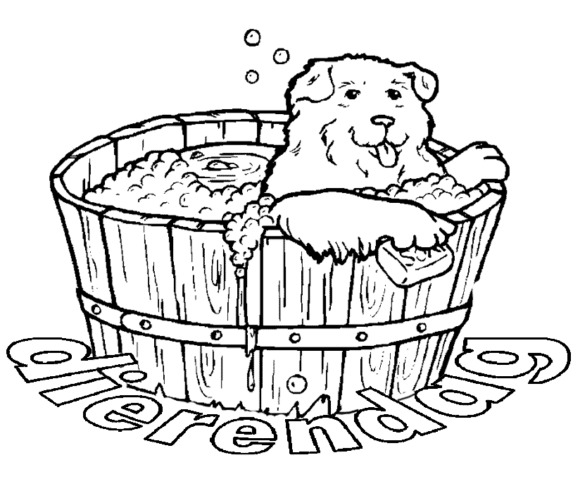 Animalsday coloring pages