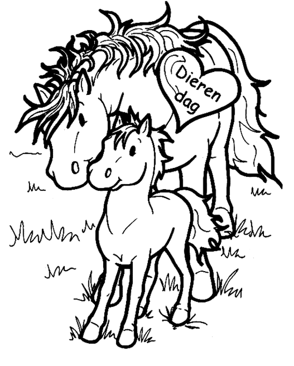 Animalsday coloring pages