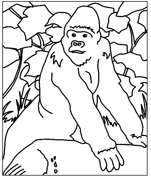 Animalsday coloring pages