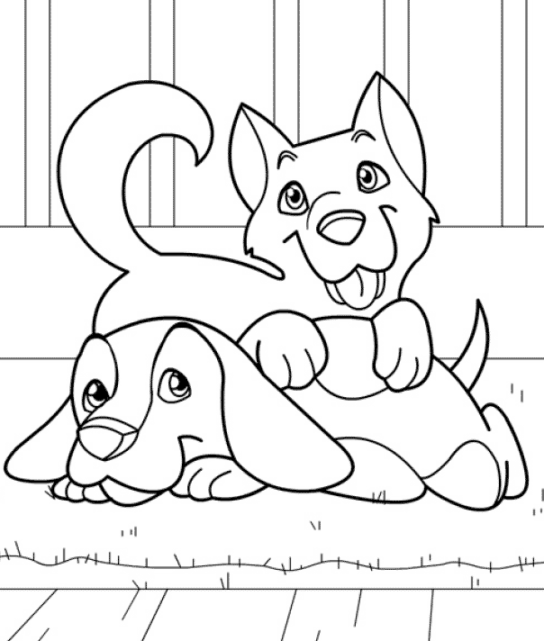 Animalsday coloring pages