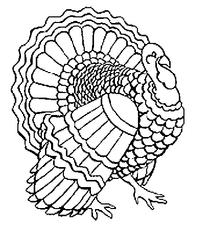 Animalsday coloring pages