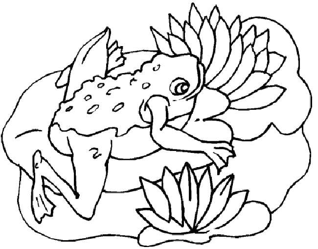 Animalsday coloring pages