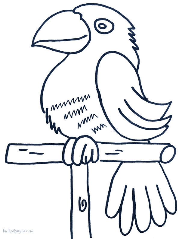 Animalsday coloring pages
