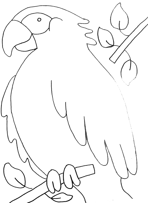 Animalsday coloring pages