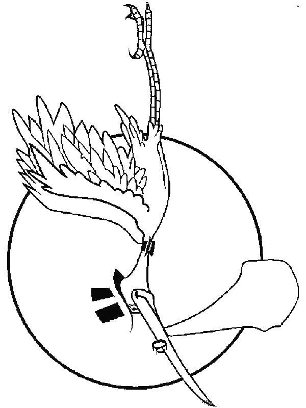 Birth coloring pages