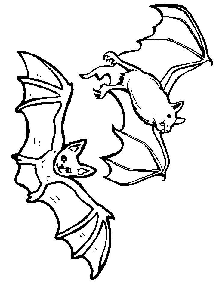 Halloween coloring pages