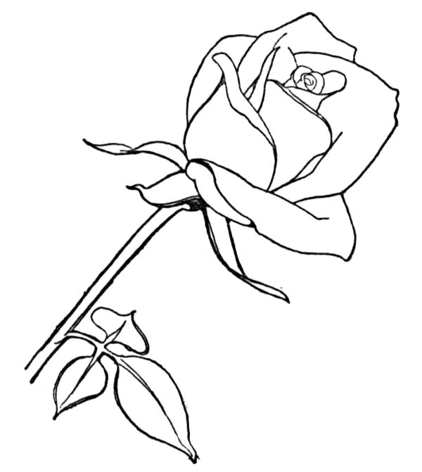 Motherday coloring pages