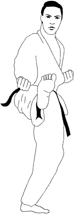 Judo coloring pages